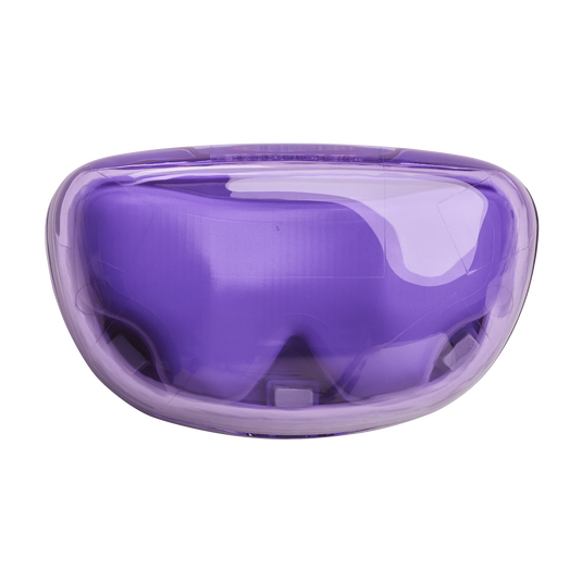 JBL Tune Flex Ghost Edition | True wireless Noise Cancelling earbuds